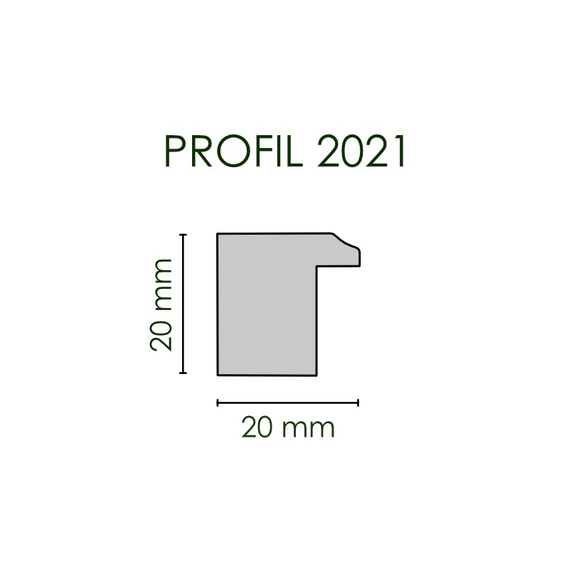 Studiorahmen | Profil 2021 mit Bemaßung