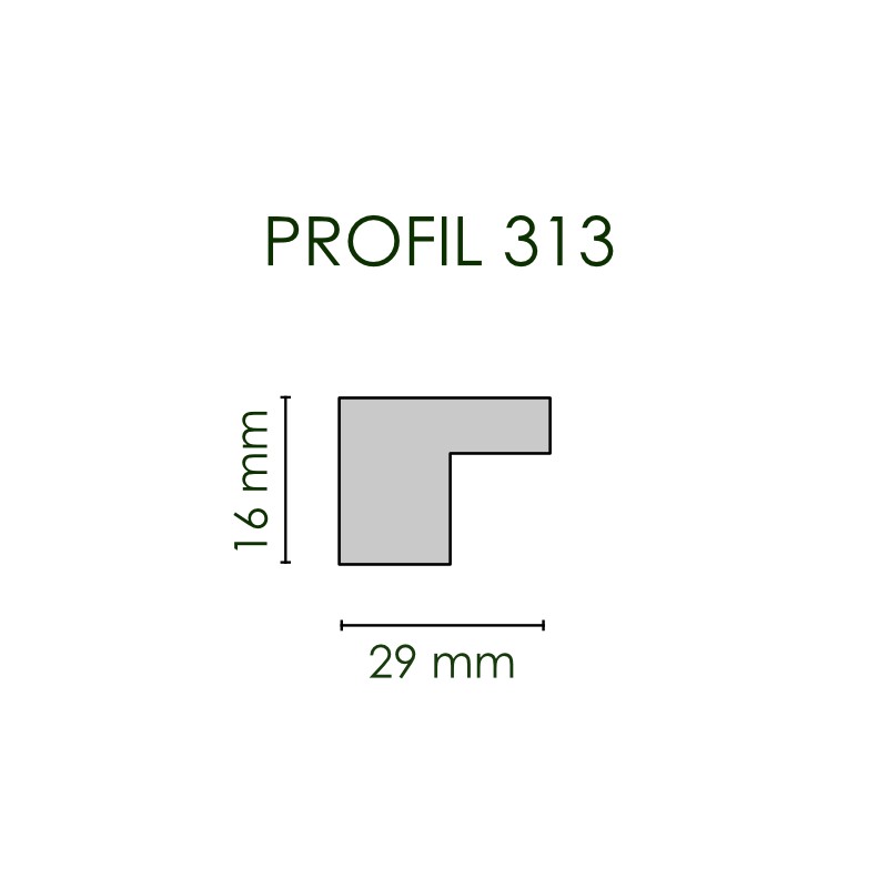 Studiorahmen | Profil 313 mit Bemaßung